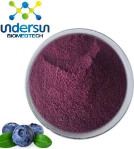 Organic Blueberry fruit Extract Powder by Undersun Biomedtech
